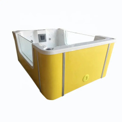 Детский спа-бассейн Angel World DB11